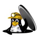 LinuxBIOS mascot